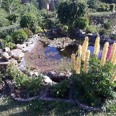Studio Au Jardin Fleuri 韦尔维耶 外观 照片