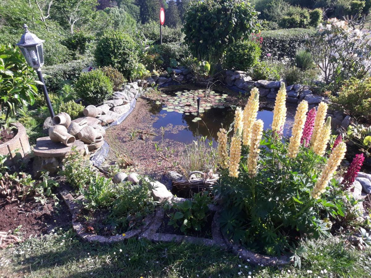 Studio Au Jardin Fleuri 韦尔维耶 外观 照片