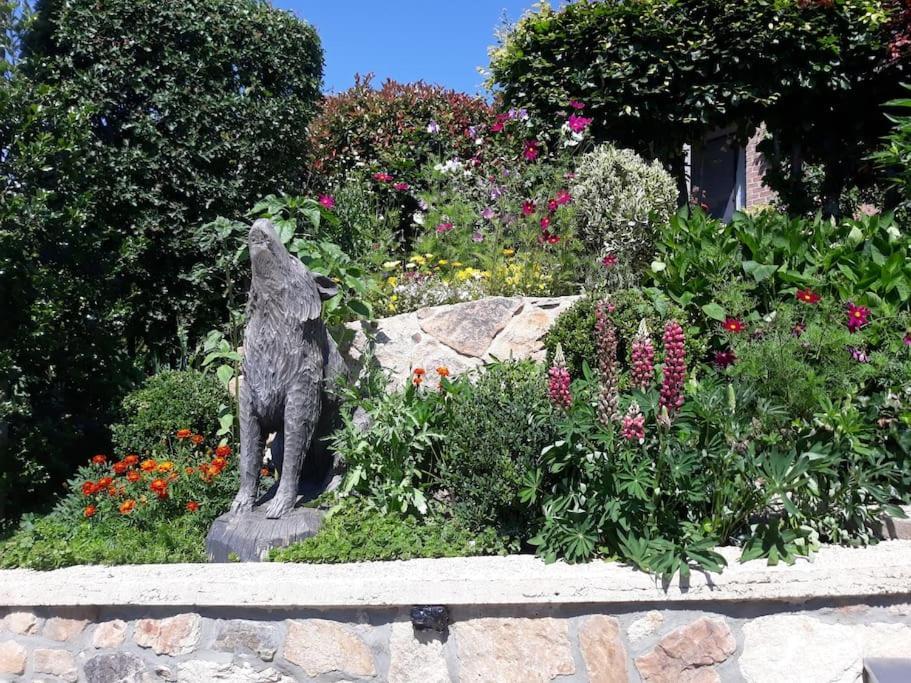 Studio Au Jardin Fleuri 韦尔维耶 外观 照片